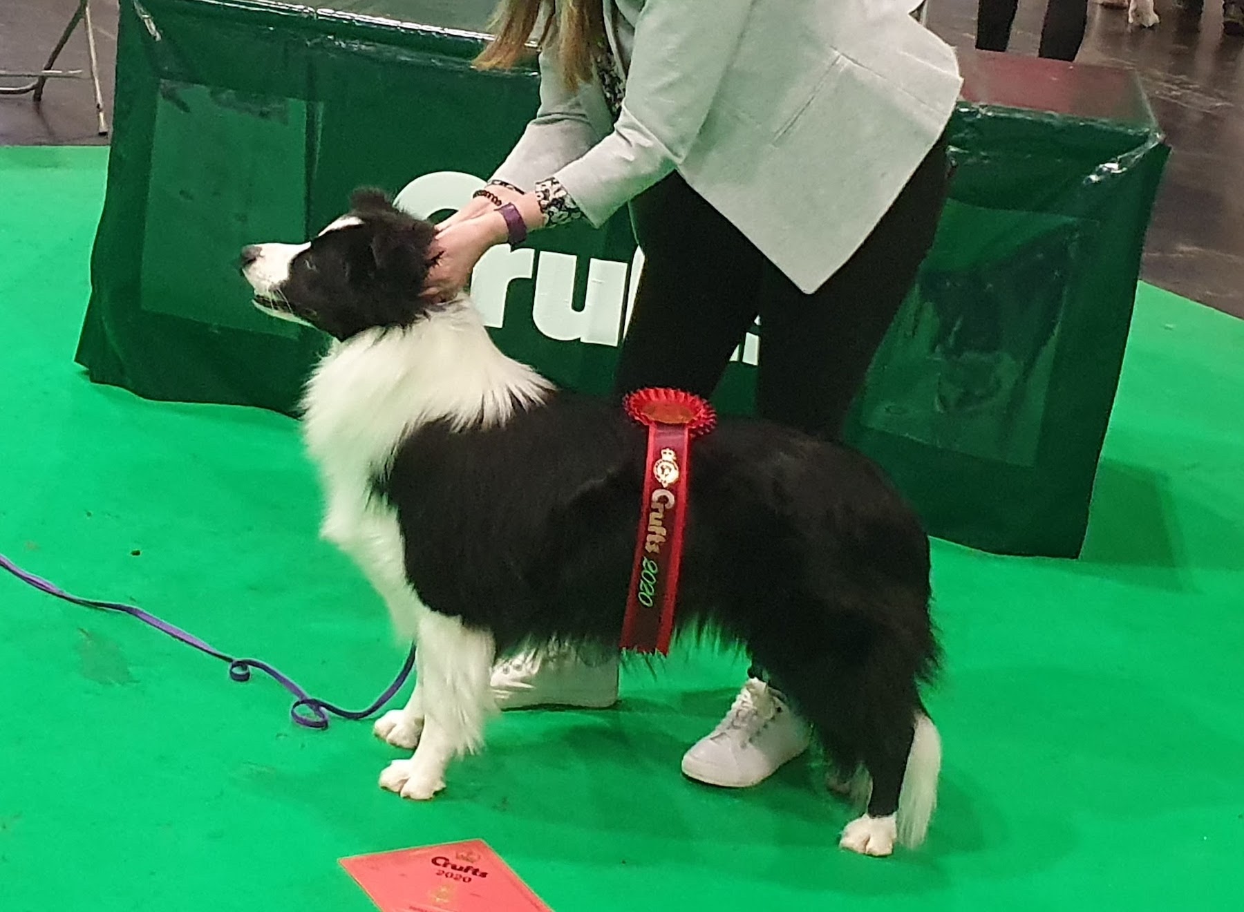 Milo - Tidespring Storm Breaker -