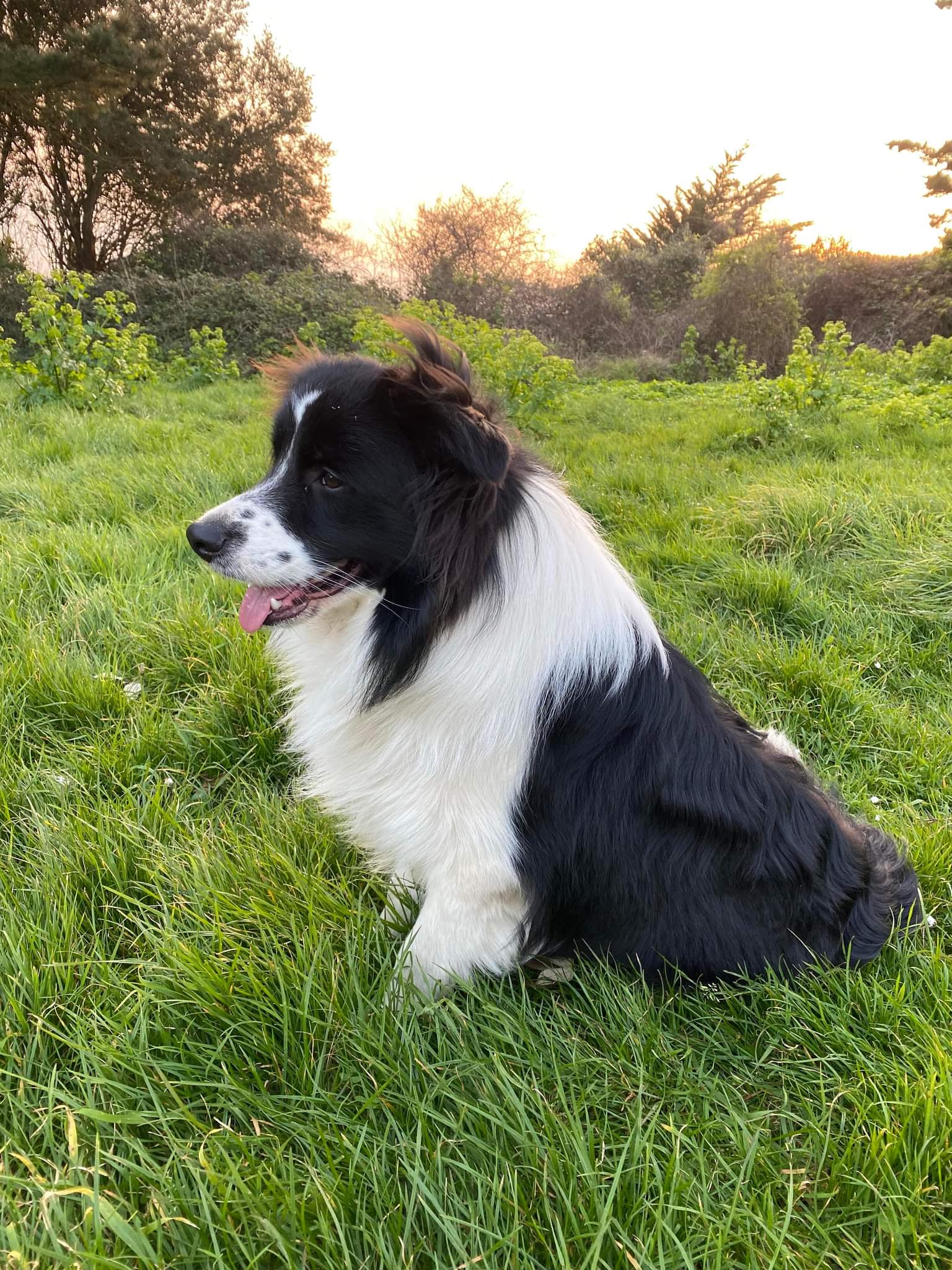 Splash - Pencoppen Secret Retreat at Tidespring